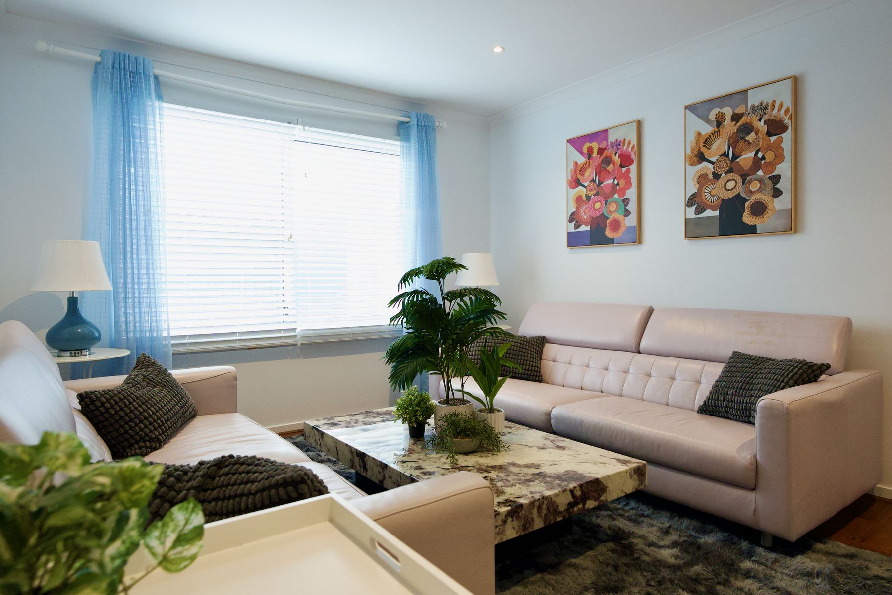 Living room with plants and natural light